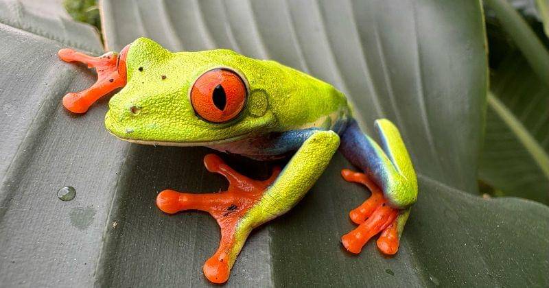 Hasil foto kamera Ultra Wide 12 MP baru di iPhone 16 yang memungkinkan fotografi makro untuk menangkap subjek dari dekat dengan detail yang menakjubkan - Dok. Apple